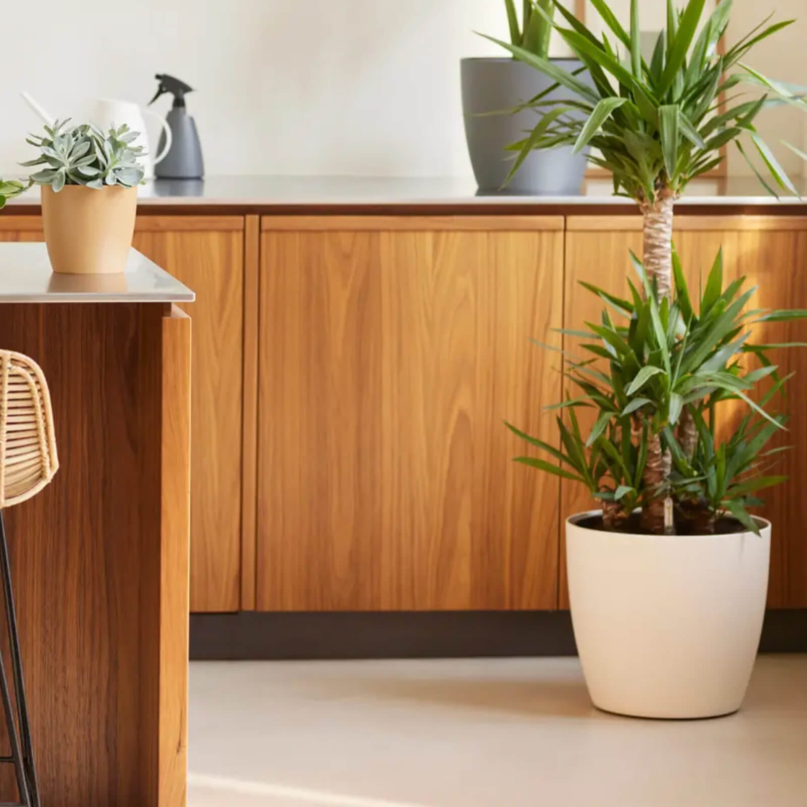 get-your-dream-of-elho-brussels-plastic-plant-pot-indoor-durable-100-recyclable-sale_0.jpg