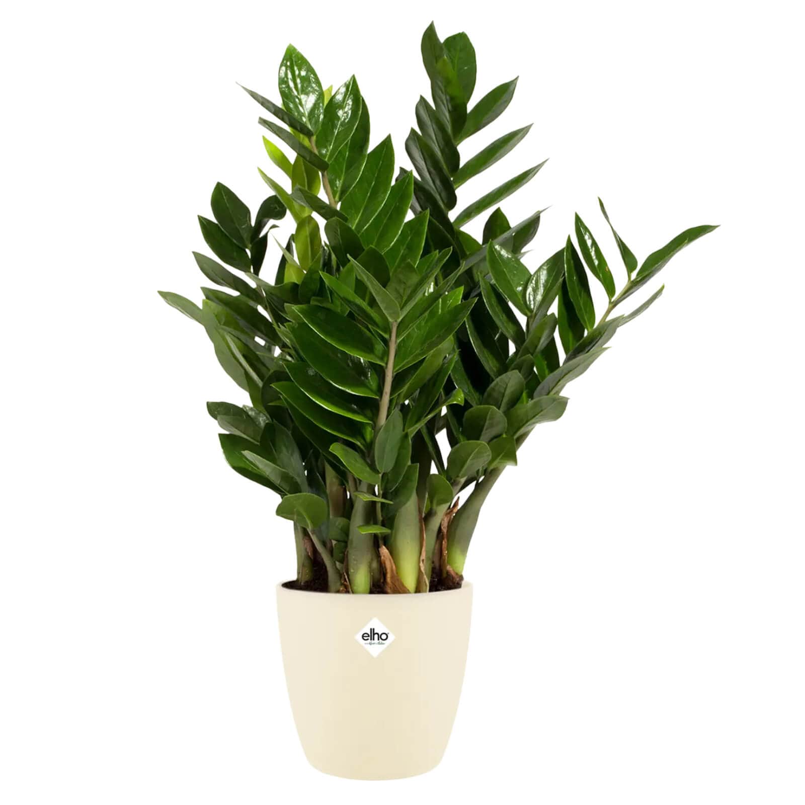 get-your-dream-of-elho-brussels-plastic-plant-pot-indoor-durable-100-recyclable-sale_4.jpg