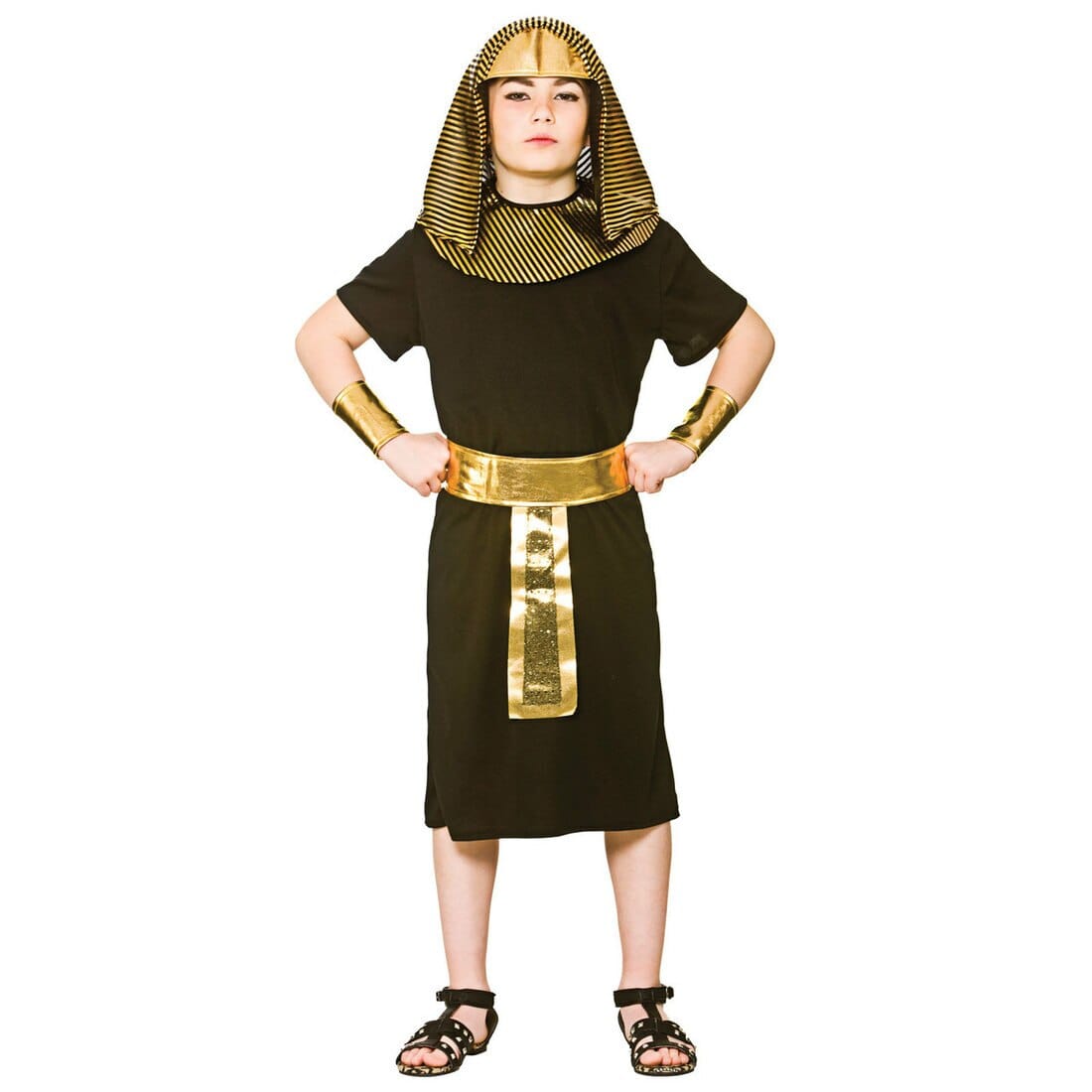 buy-authentic-boys-egyptian-pharaoh-king-gold-black-halloween-costume-online_0.jpg